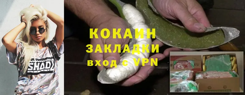 КОКАИН Fish Scale  Сысерть 